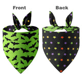Halloween Pet Collection – Spooky & Cute Accessories for Pets